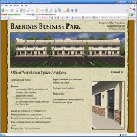 Babiones Web Site