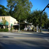 High Springs Downtown: SIte.JPG