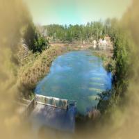 Williston Crossings Brochure: backG4.jpg